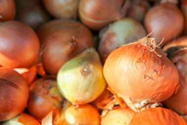 soğan ampul arka plan görüntüsü