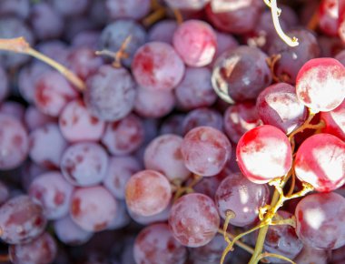 taze üzüm arka plan görüntüsü