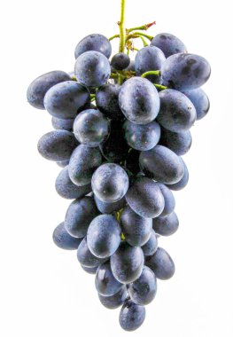 Beyaz arka planda izole edilmiş siyah üzümler.