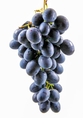 Beyaz arka planda izole edilmiş siyah üzümler.