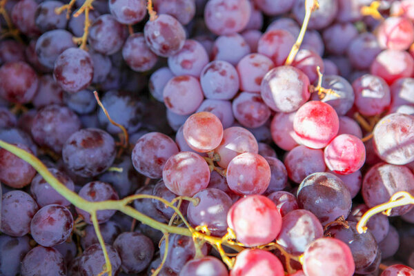 fresh grapes background image