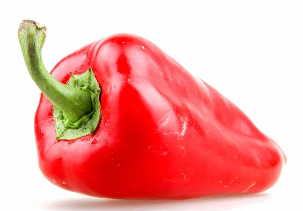 Červená Paprika Izolované Bílém Pozadí — Stock fotografie