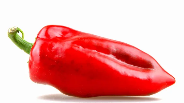 Pimiento Rojo Aislado Sobre Fondo Blanco —  Fotos de Stock