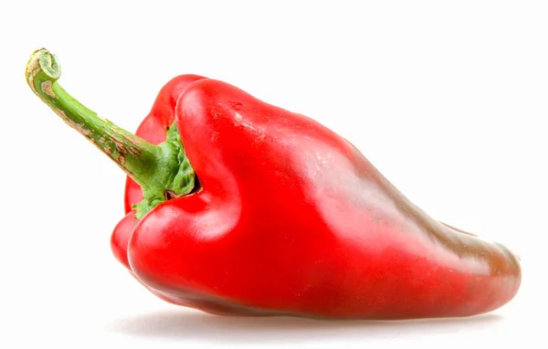 Pimiento Rojo Aislado Sobre Fondo Blanco — Foto de Stock