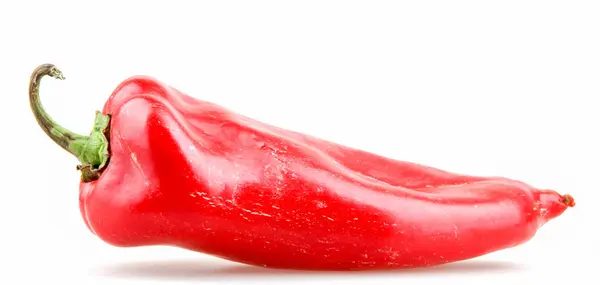Κόκκινη Πιπεριά Απομονωμένη Λευκό Φόντο — Φωτογραφία Αρχείου
