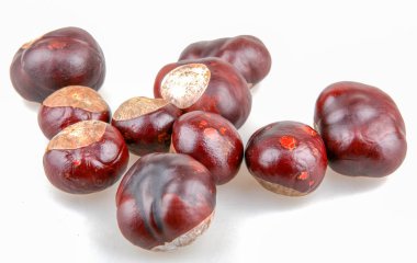 At kestanesi beyaz arkaplanda izole.