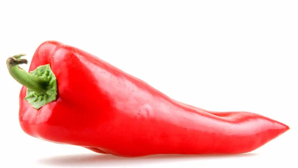 Pepe Rosso Isolato Sfondo Bianco — Foto Stock