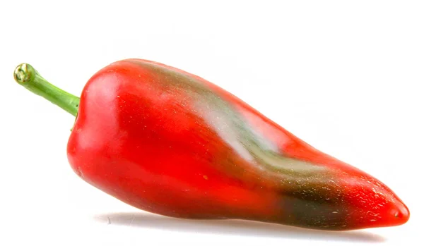 Κόκκινη Πιπεριά Απομονωμένη Λευκό Φόντο — Φωτογραφία Αρχείου