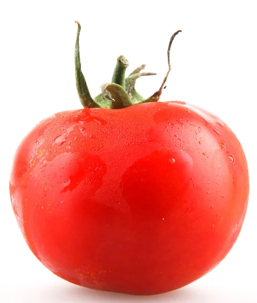 Lähikuva Punainen Tomaatit Valkoisella Taustalla — kuvapankkivalokuva