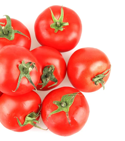 Primer Plano Tomates Rojos Sobre Fondo Blanco — Foto de Stock