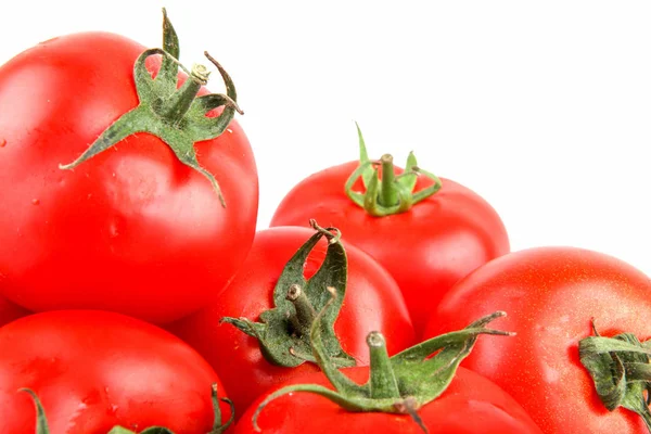 Nahaufnahme Von Roten Tomaten Auf Weißem Hintergrund — Stockfoto