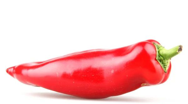 Pimiento Rojo Aislado Sobre Fondo Blanco — Foto de Stock