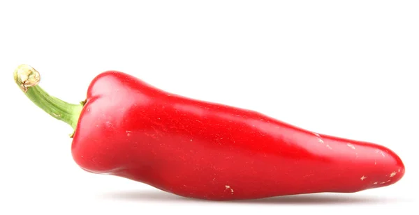 Red Pepper Isolated White Background — Stock Photo, Image