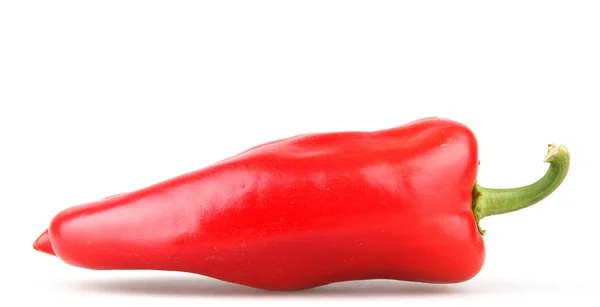 Pimiento Rojo Aislado Sobre Fondo Blanco — Foto de Stock