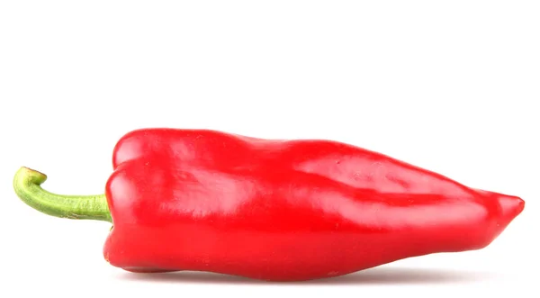 Pimiento Rojo Aislado Sobre Fondo Blanco — Foto de Stock