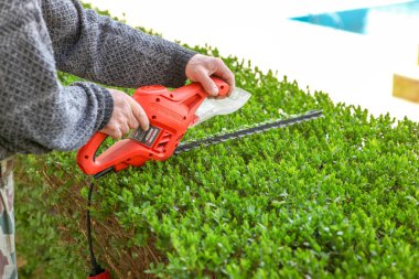 Çit kırpma otomatik makas ile kesme.