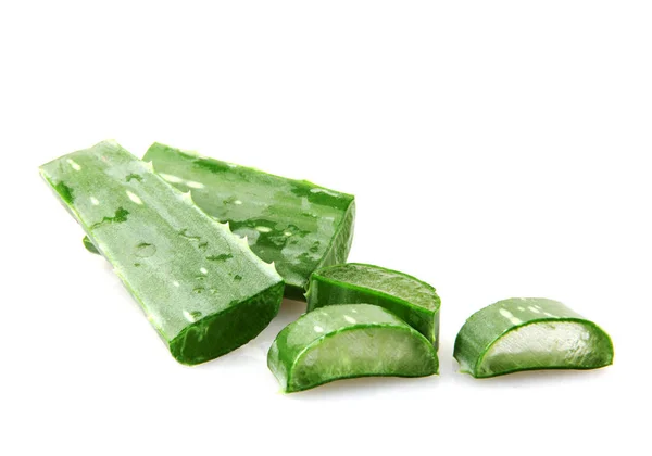 Aloe Vera Isoliert Auf Weißem Hintergrund — Stockfoto