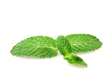 Beyaz arkaplanda izole edilmiş taze nane yaprağı