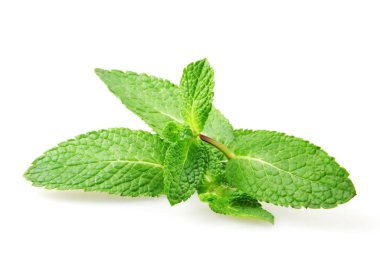 Beyaz arkaplanda izole edilmiş taze nane yaprağı