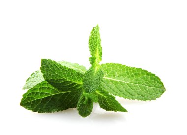 Beyaz arkaplanda izole edilmiş taze nane yaprağı