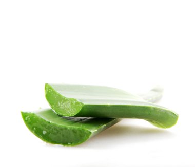 aloe vera beyaz arkaplanda izole