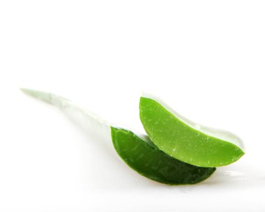 aloe vera beyaz arkaplanda izole