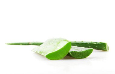 aloe vera beyaz arkaplanda izole
