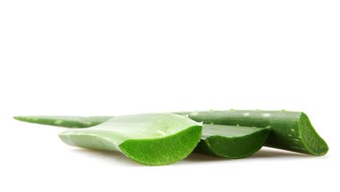 aloe vera beyaz arkaplanda izole
