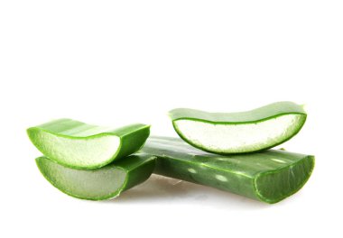 aloe vera bitkisi beyaz arkaplanda izole