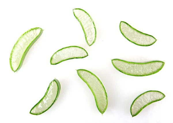 Aloe Vera Plant Isolated White Background — Stock Photo, Image