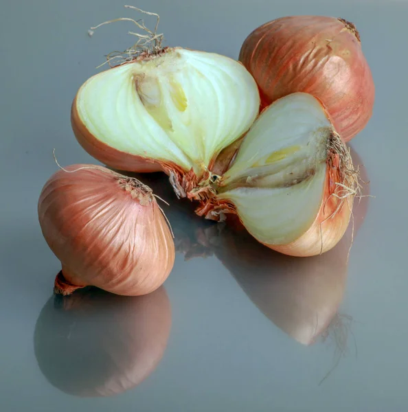 Bombillas Frescas Cebolla — Foto de Stock