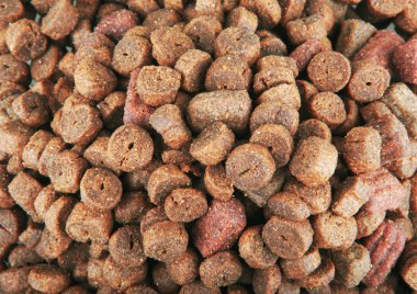 Evde beslenen hayvan yiyecek arka plan kurutulmuş