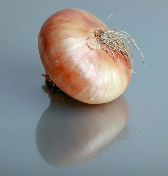 Bombillas Frescas Cebolla — Foto de Stock