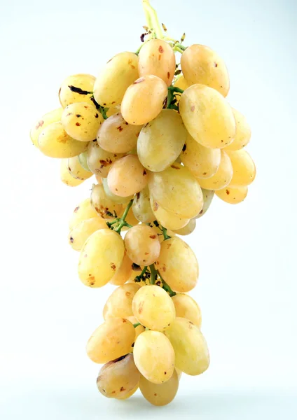 Świeże Winogrona Białym Tle Zdjęcia Stockowe — Zdjęcie stockowe