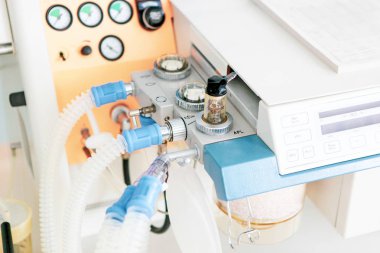 Burgas, Bulgaristan - 07 Ağustos 2012: 