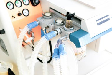 Burgas, Bulgaristan - 07 Ağustos 2012: 