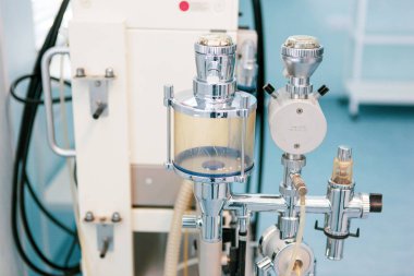 Burgas, Bulgaristan - 07 Ağustos 2012: 