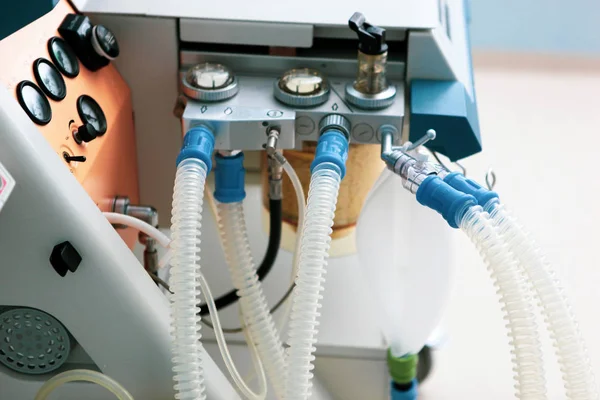 Burgas, Bulgaristan - 07 Ağustos 2012: 