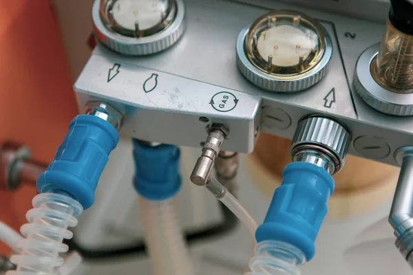 Burgas, Bulgaristan - 07 Ağustos 2012: 