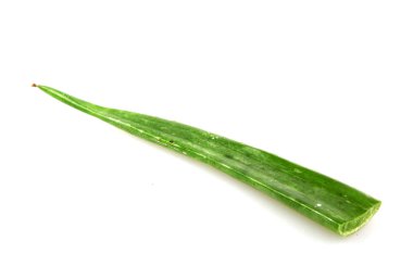 Aloe Vera 'nın Beyaz Arkaplandaki Kesiğinin Yakın Çekimi