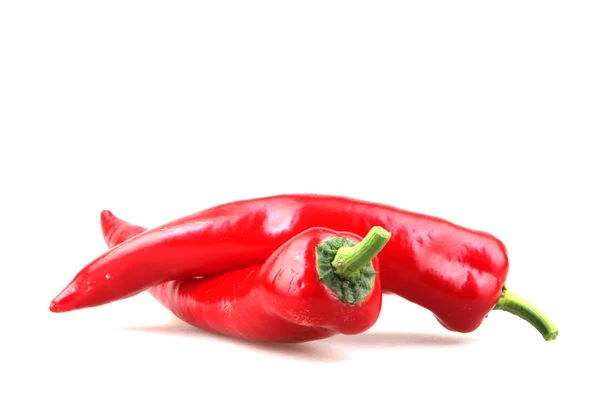 Крупный План Red Chili Pepper Белом Фоне — стоковое фото