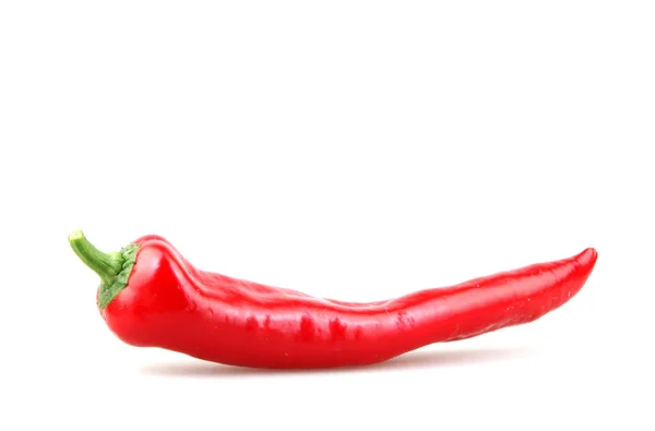 Närbild Röd Chili Peppar Mot Vit Bakgrund — Stockfoto