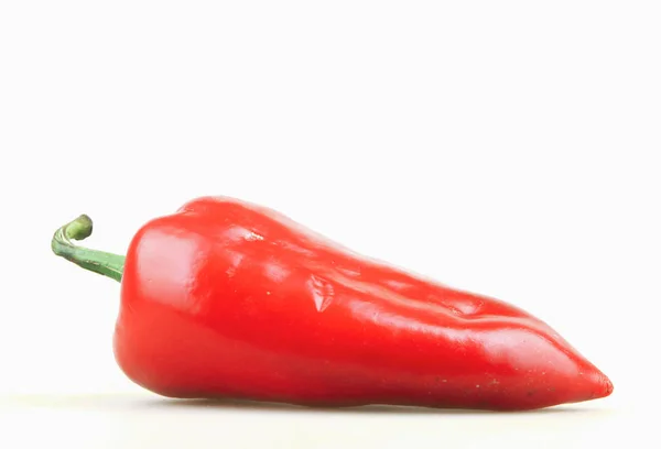 Pimiento Rojo Aislado Sobre Fondo Blanco — Foto de Stock