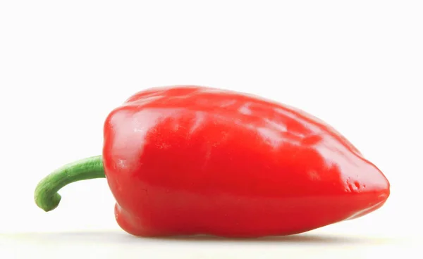 Pimiento Rojo Aislado Sobre Fondo Blanco — Foto de Stock