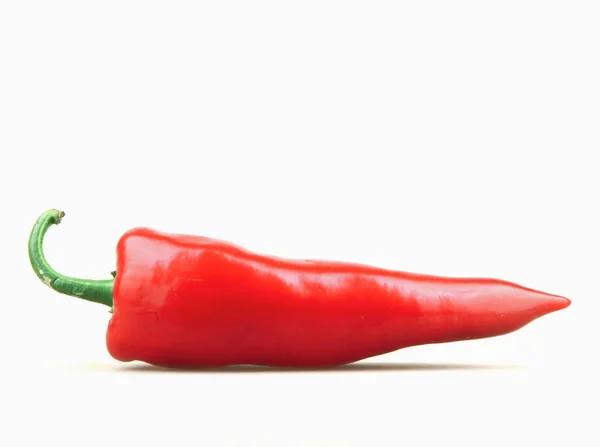 Pimiento Rojo Aislado Sobre Fondo Blanco — Foto de Stock