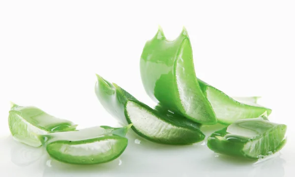 Aloe Vera Beyaz Arkaplanda — Stok fotoğraf