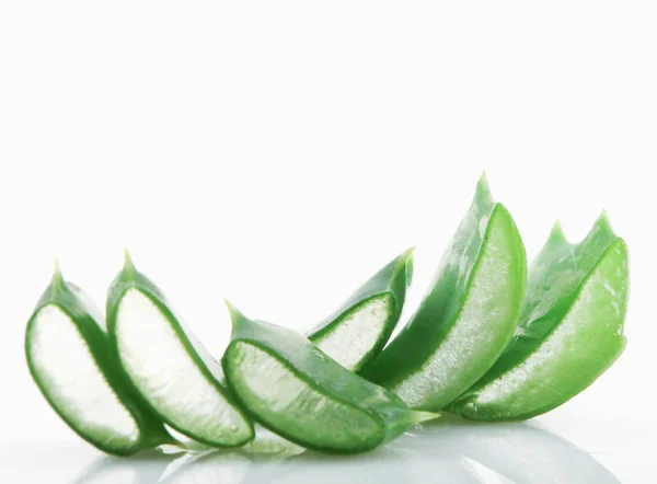 Aloe Vera Latar Belakang Putih — Stok Foto