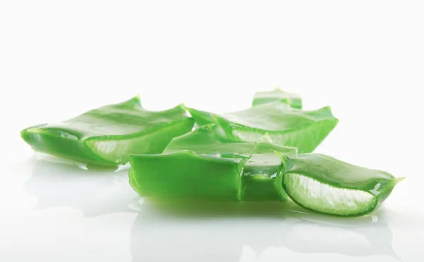 Aloe Vera Auf Weißem Hintergrund — Stockfoto