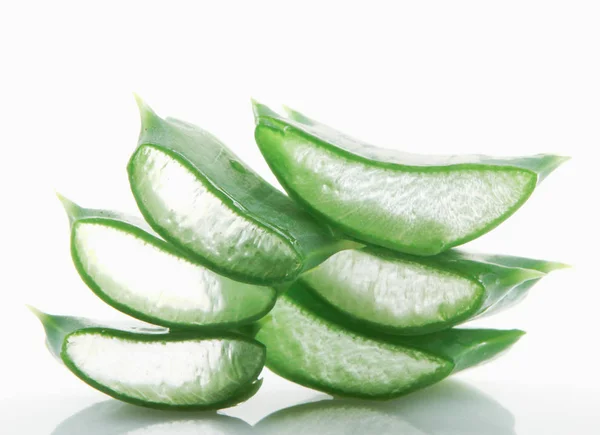 Aloe Vera Latar Belakang Putih — Stok Foto