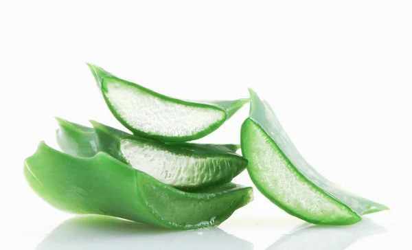 Aloe Vera Latar Belakang Putih — Stok Foto